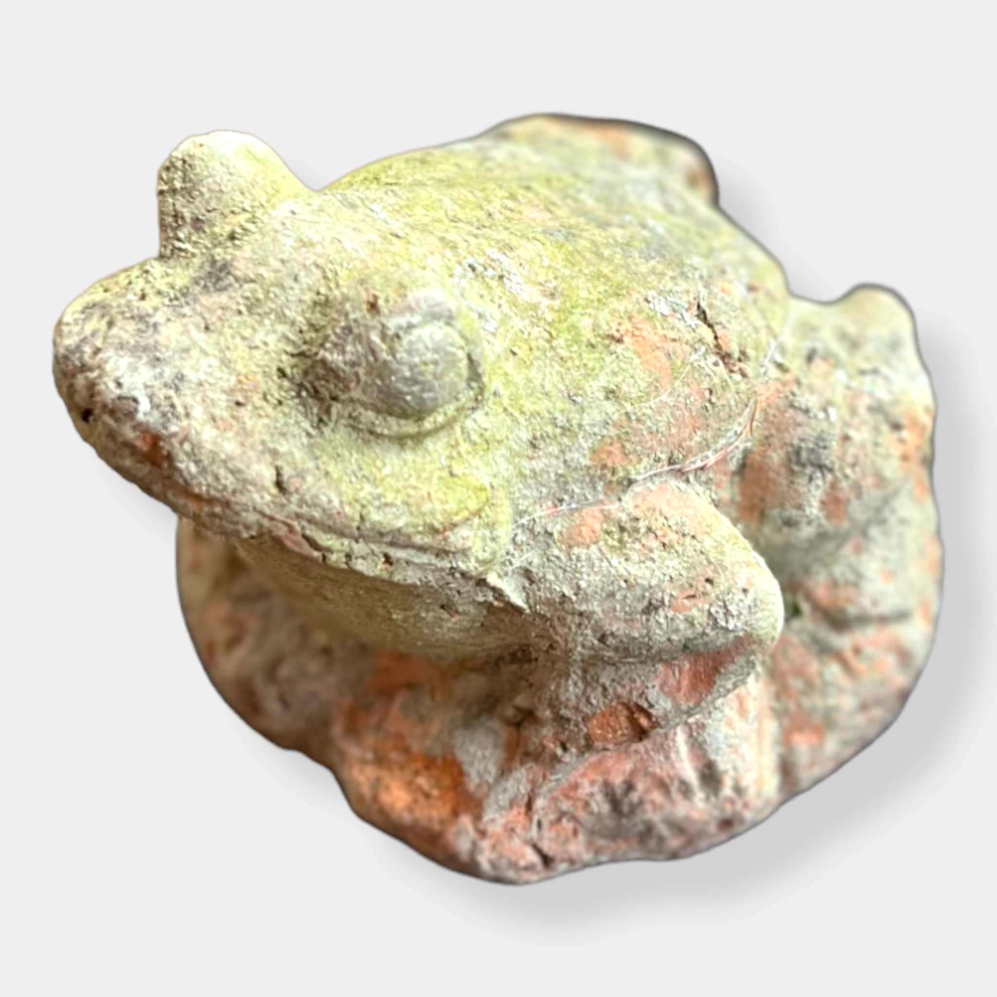 Vintage, beautifully aged statuary frogs
