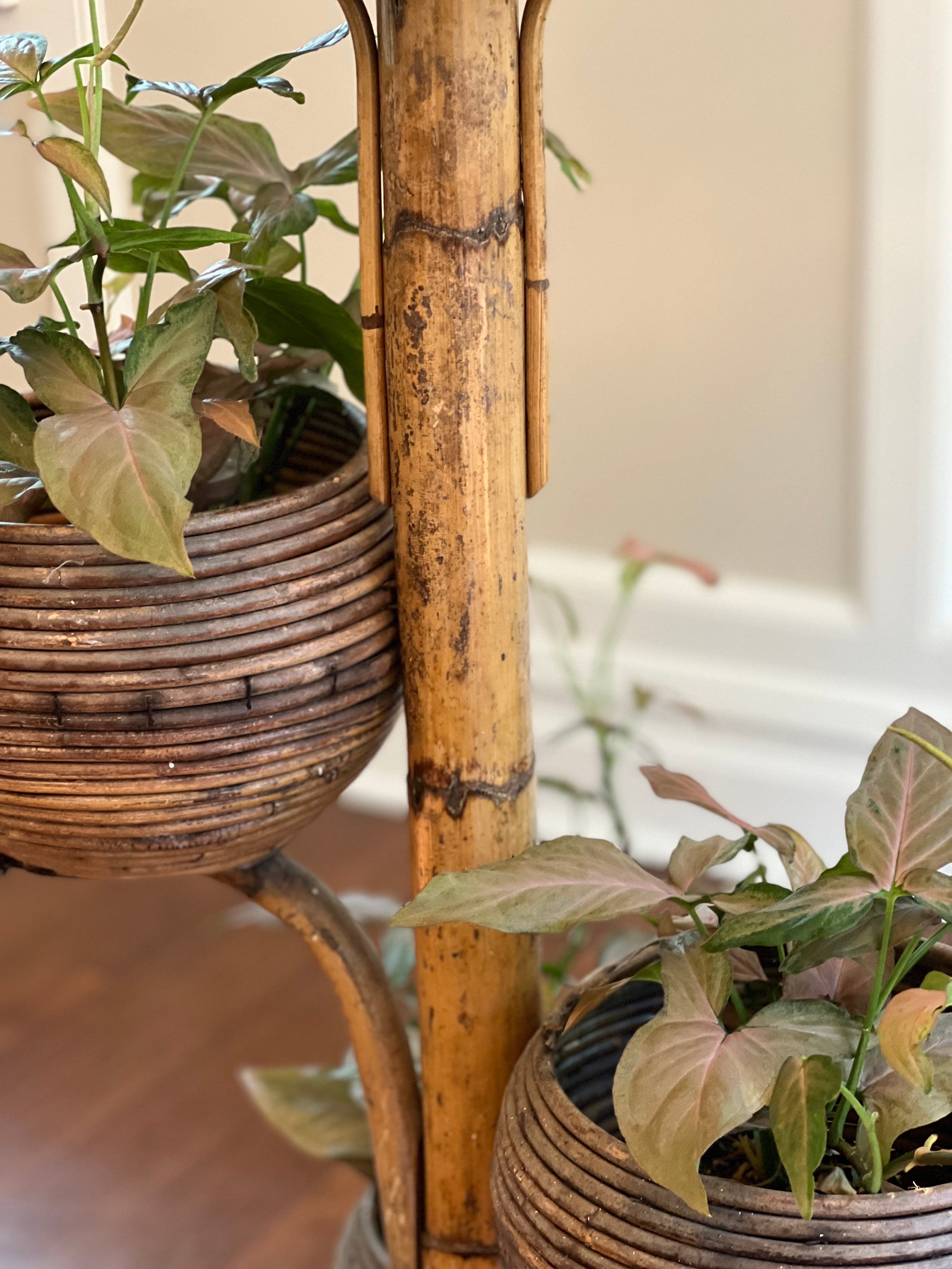 Mid Century Rattan Plant Stand